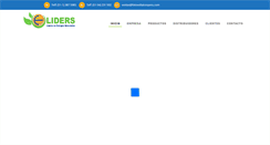 Desktop Screenshot of panelesolaresperu.com